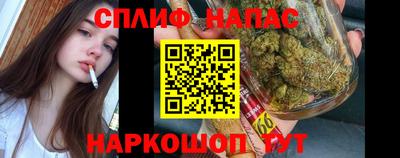 молекула духа Жуковский