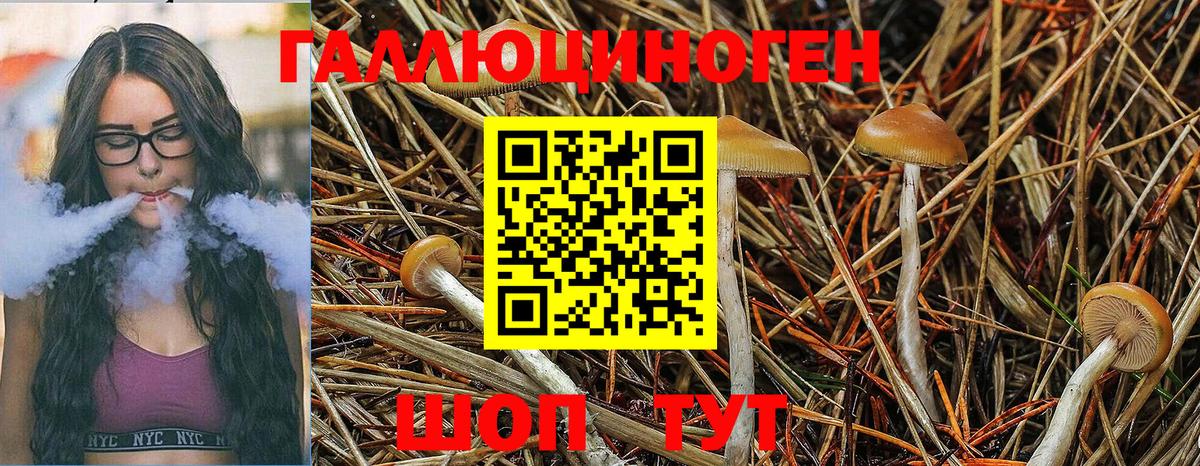 Минеральные Воды  Галлюциногенные грибы Magic Shrooms  Галлюциногенные грибы ЛСД  Вход с VPN 